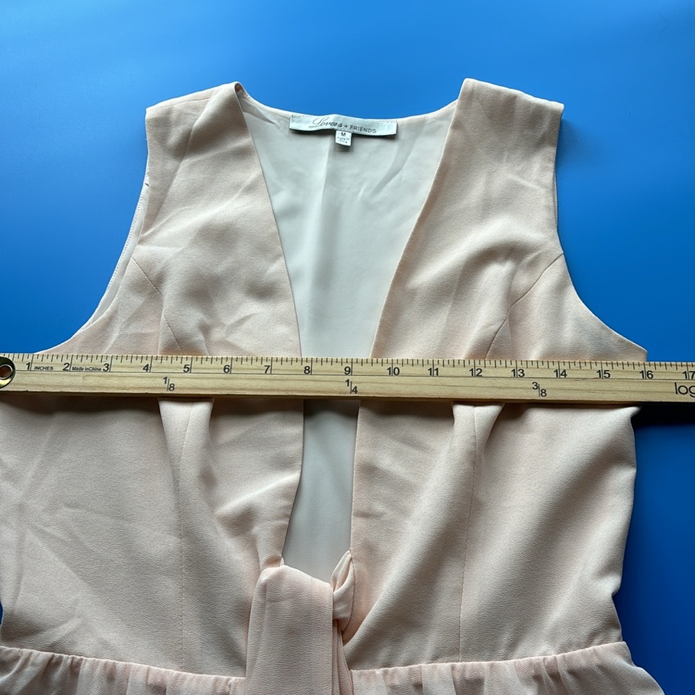 Revolve Lovers + Friends Blush Andie Mini Dress - Picture 10 of 14